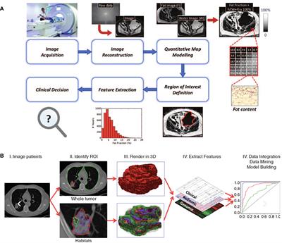 Virtual Biopsy in Soft Tissue Sarcoma. How Close Are We?